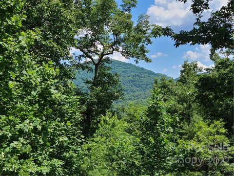 99999 Black Oak Drive Asheville NC 28804