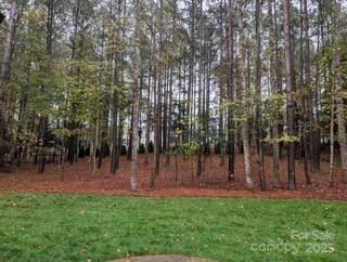 6274 Chimney Bluff Road