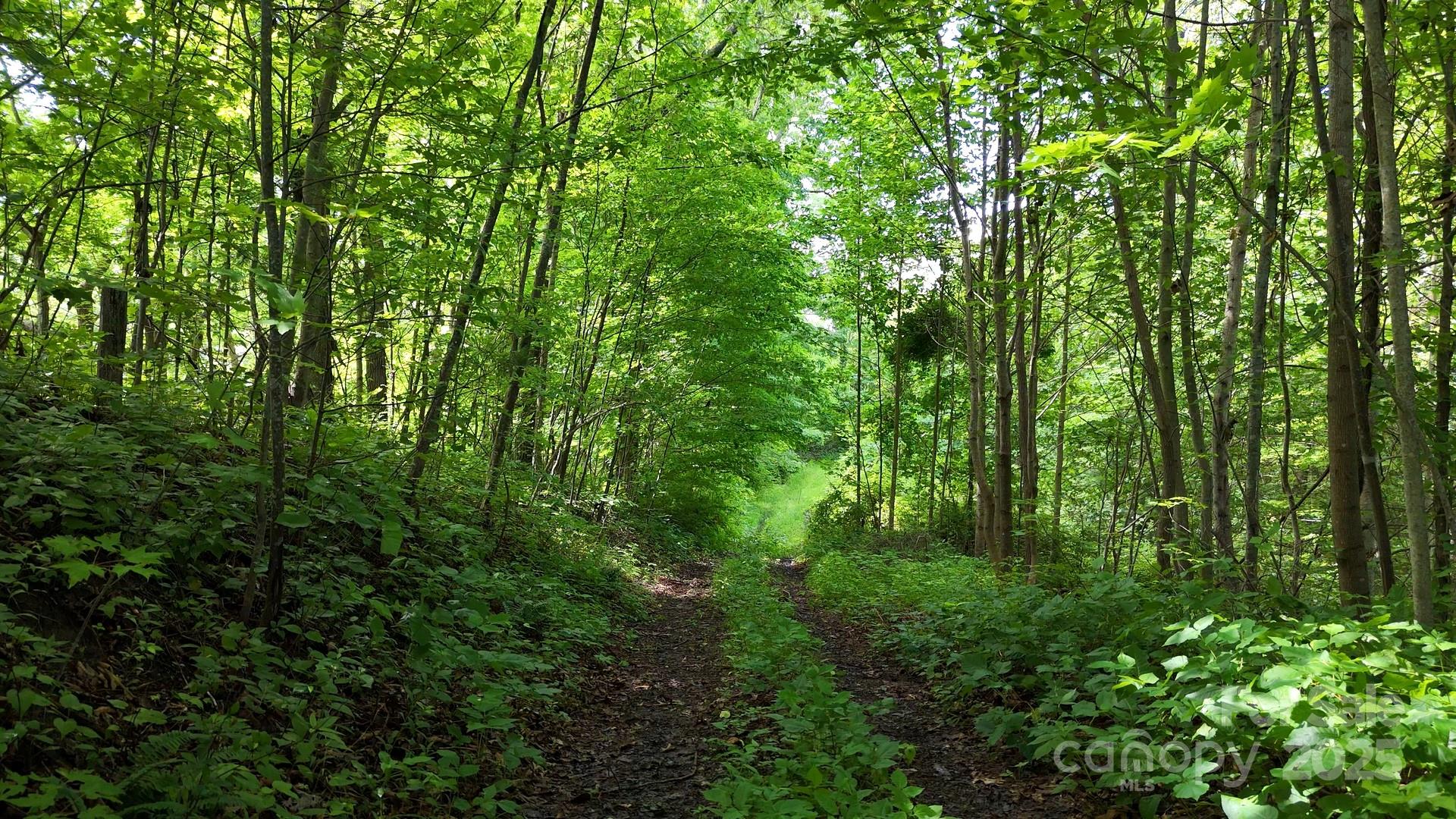 00 Liner Cove Road 2