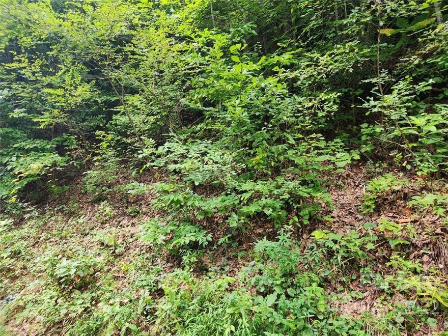 2.75-acre parcel located on publicly maintained paved road.  This lot is mostly wooded and has no restrictions.