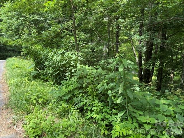 Lot 32 Toi Trail 32