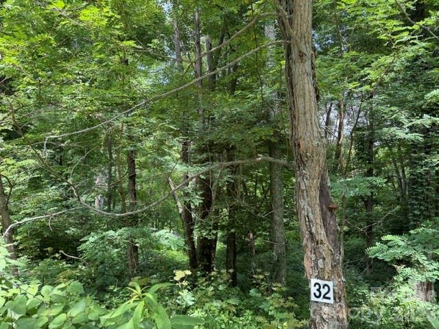 Lot 32 Toi Trail 32
