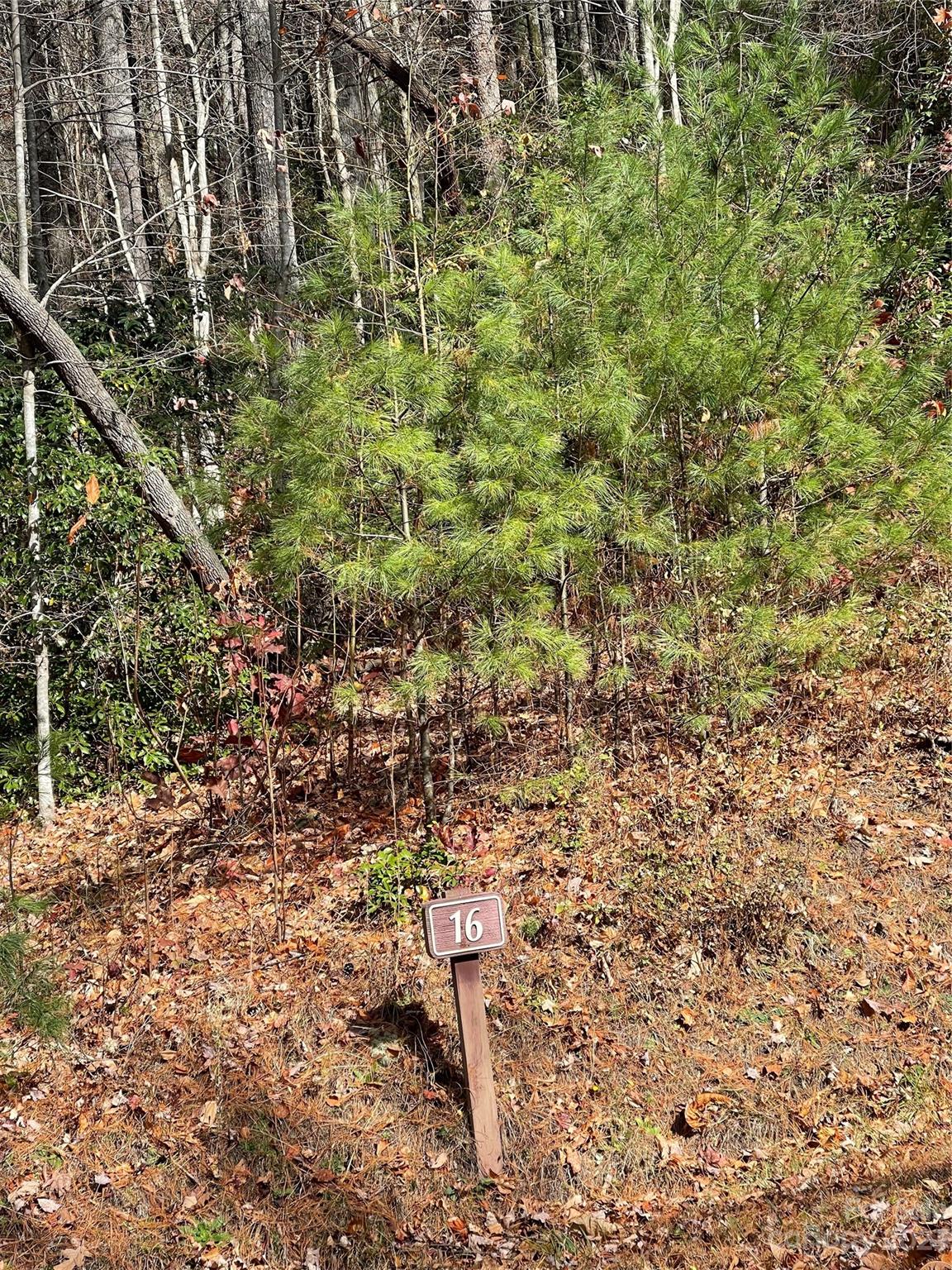 Pinnacle Falls - Land