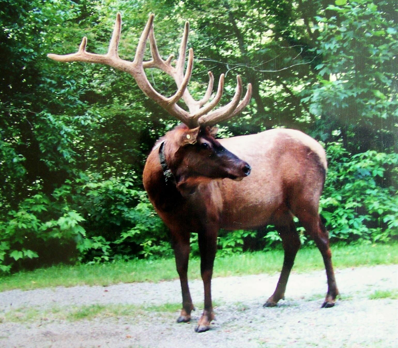 601 Tater Patch Road