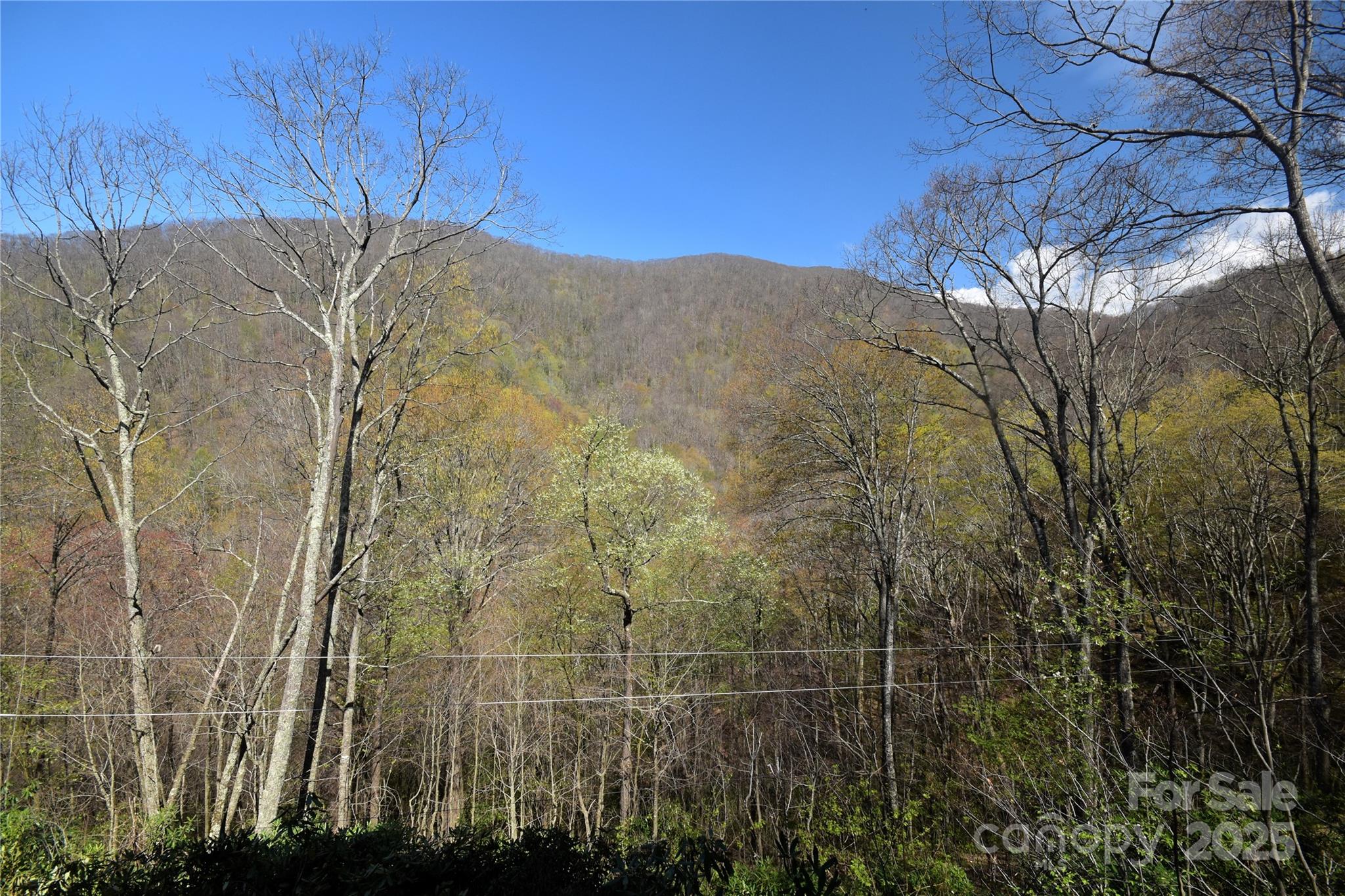 601 Tater Patch Road