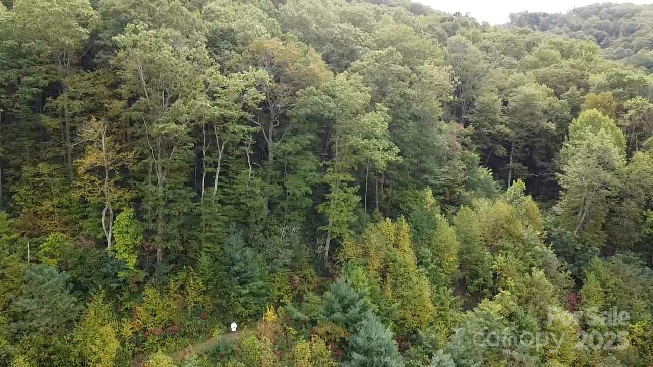 The Settings Of Black Mountain - Land