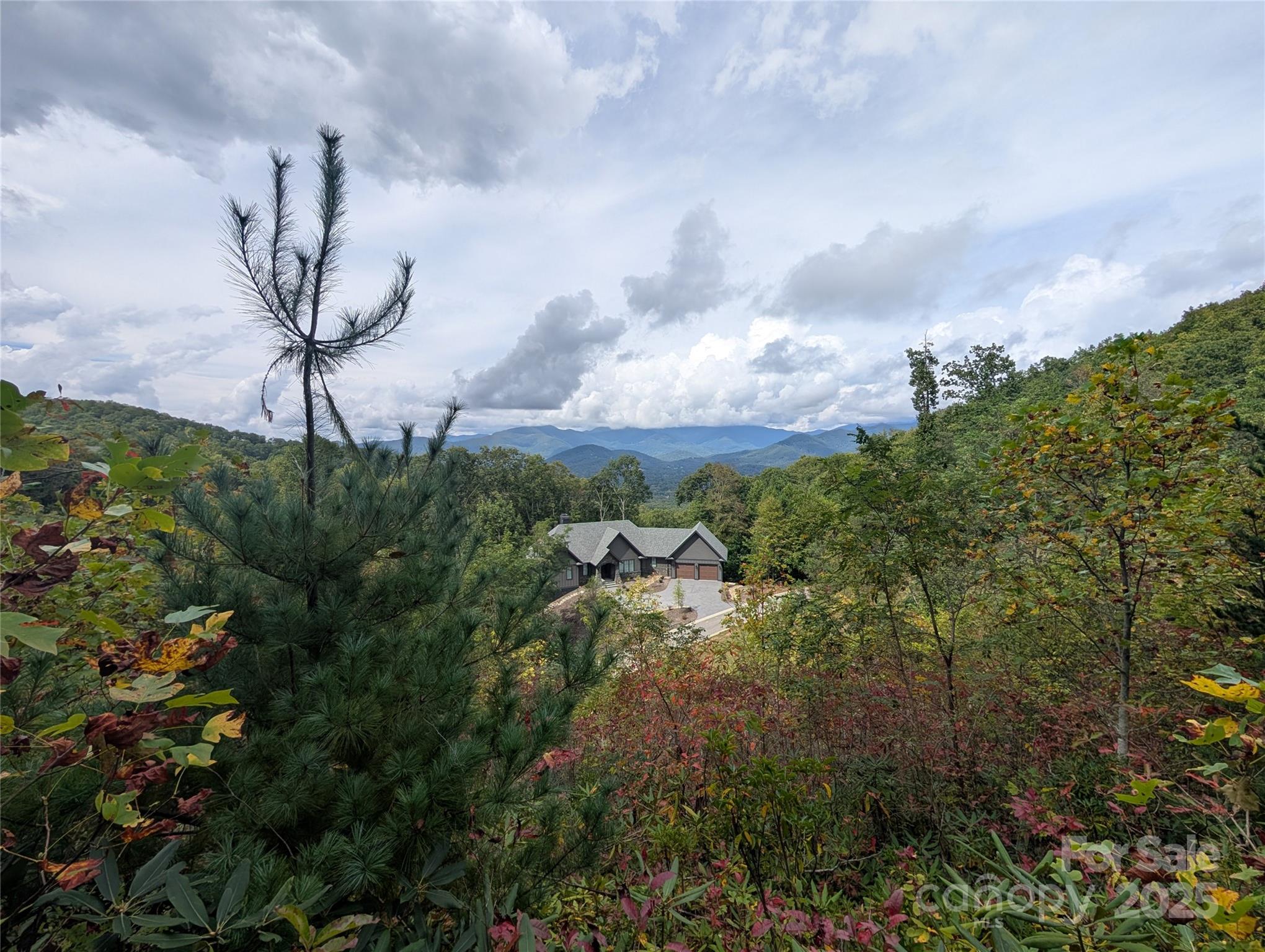 The Settings Of Black Mountain - Land