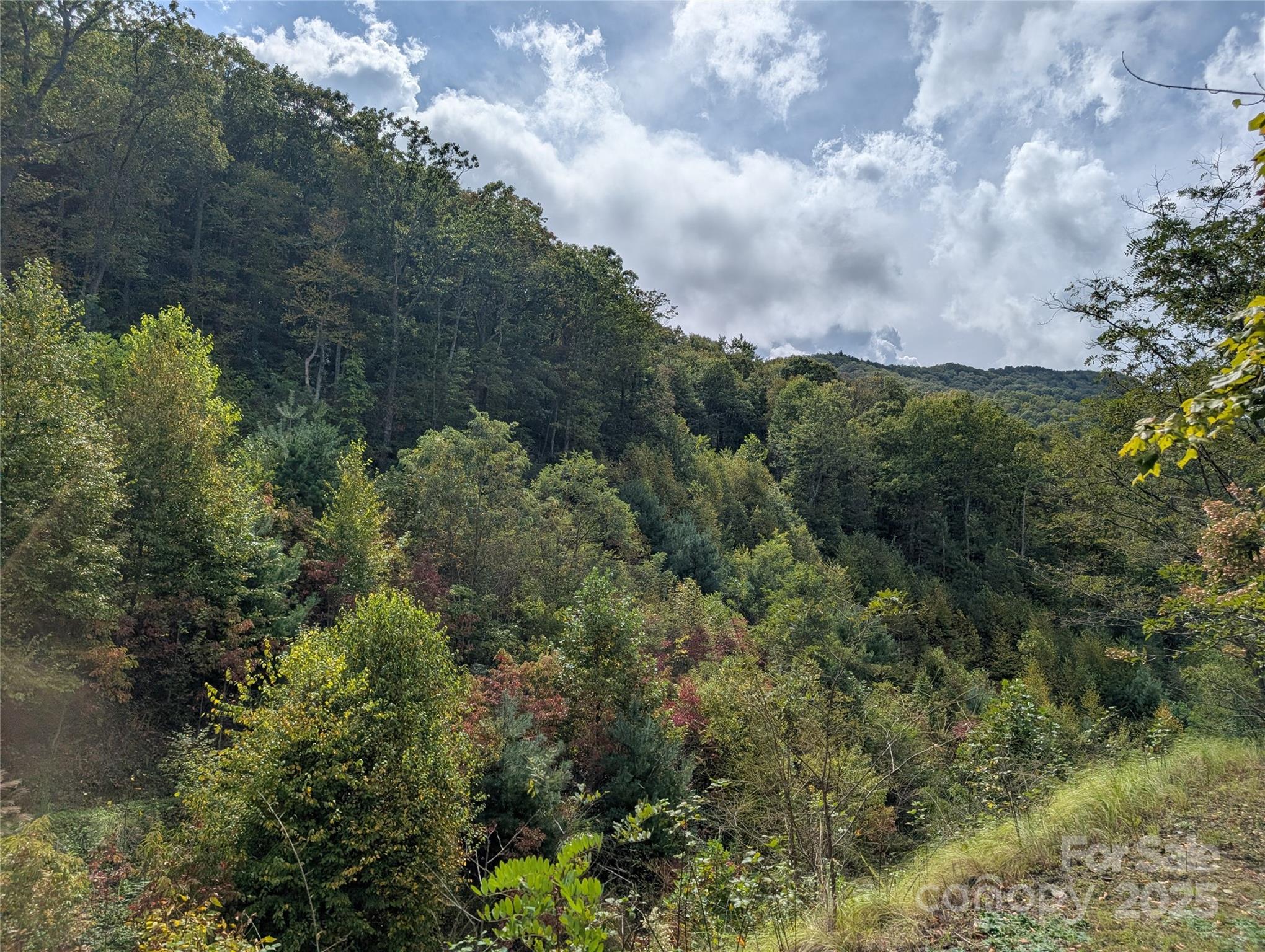 The Settings Of Black Mountain - Land