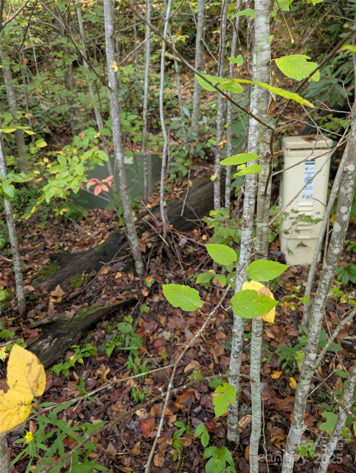 The Settings Of Black Mountain - Land