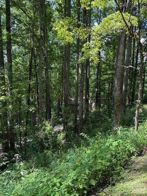 Lot 49 Rocky Ridge Road 49