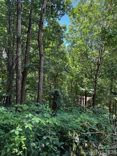Lot 49 Rocky Ridge Road 49
