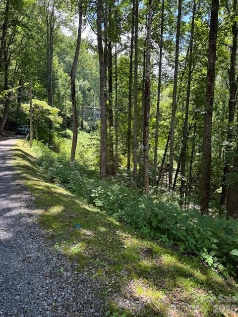 Lot 49 Rocky Ridge Road 49