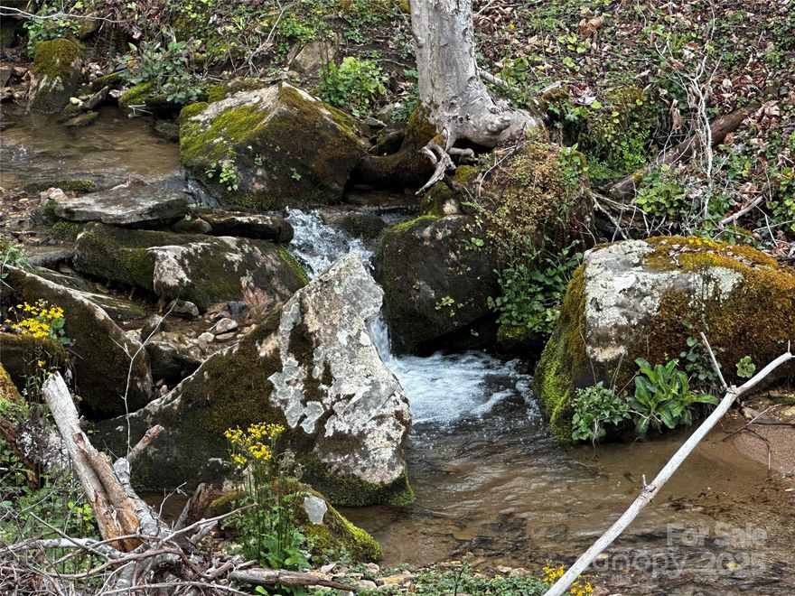 3 Lots nestled up in the mountains perfect to build getaway cabins. Bring family or friends and each could build a home on each lot without being on top of each other. These lots do not touch each other but are in the same community and walking distance away. Each lot has is different and will offer mountain views on all three view of a nice flowing creek on another. Perfect for someone who is looking for build a mountain getaway with family and friends. Easy access except to one lot as the Hurricane took trees down and has the road block to one lot but other two are easy to access and gated community for extra protection. Don't miss this incredible price to own 3 lots.