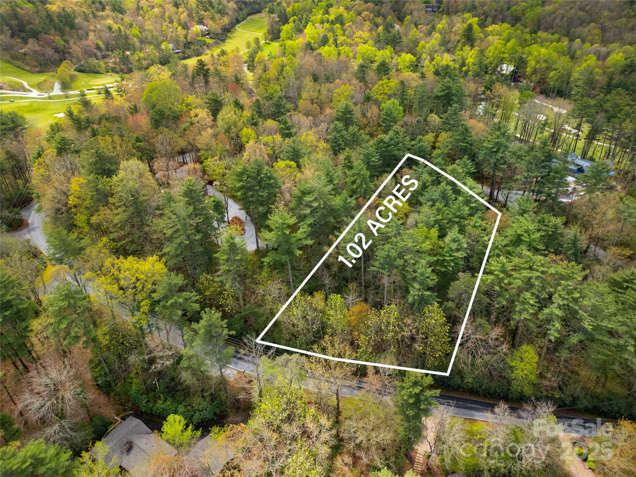 Lake Toxaway Estates - Land