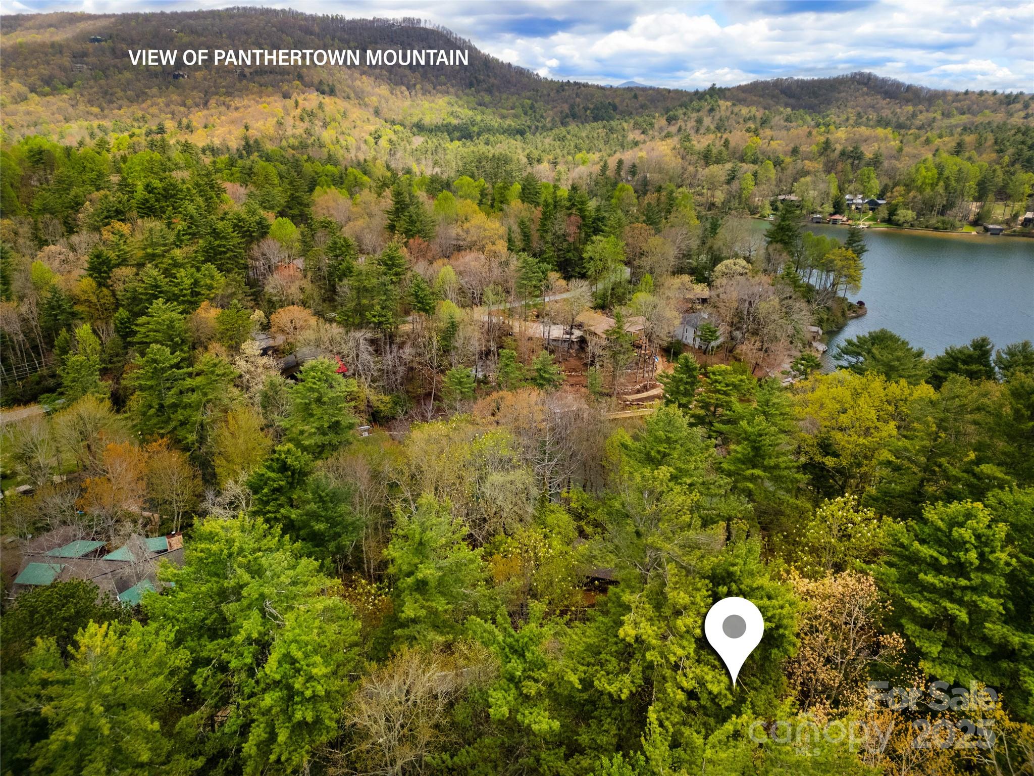 Lake Toxaway Estates - Land