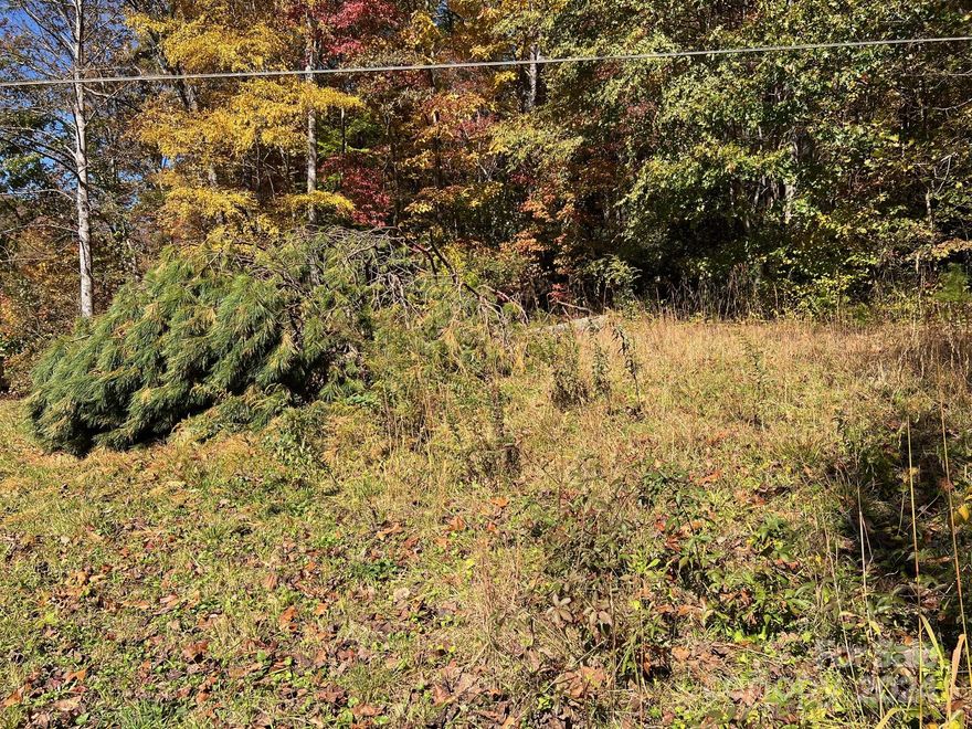 Almost 4 acres of vacant land less than a 10 minute car ride to Brevard NC.  Easy access along a well maintained paved road.  Cleared and gentle building area near the front of the property with wooded acreage stretching up and over the ridge behind you.  The forested section of the property is covered in Mountain Laurel and Rhododendron.