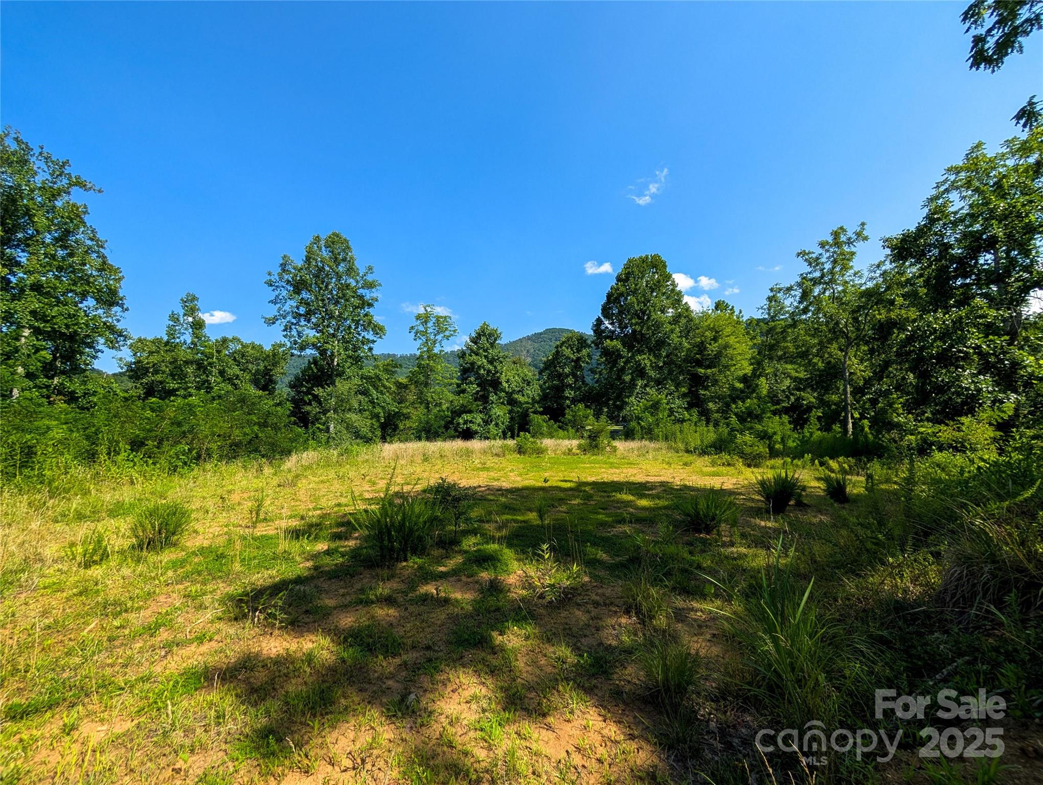 303 Festive Pine Trail