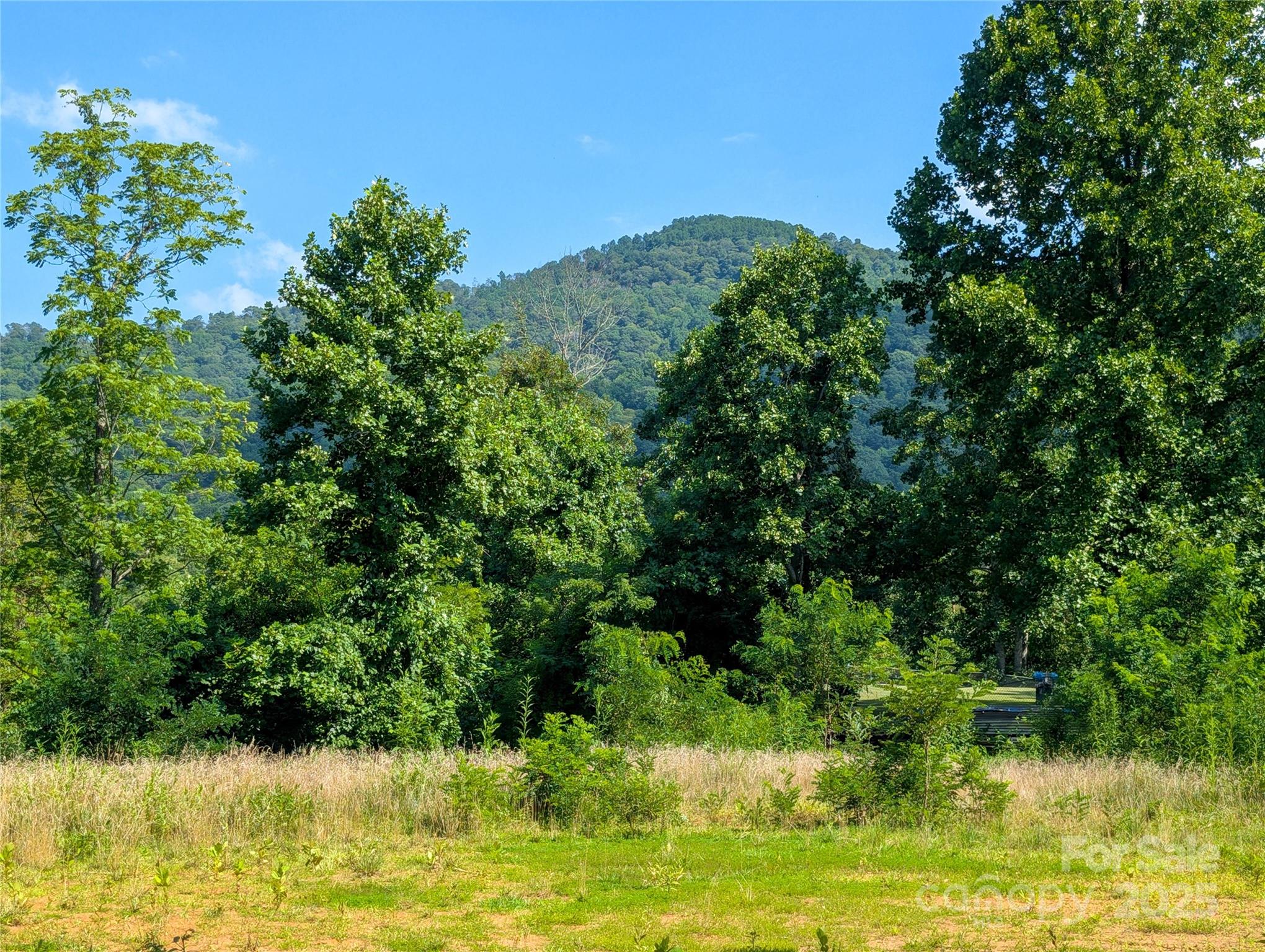 303 Festive Pine Trail