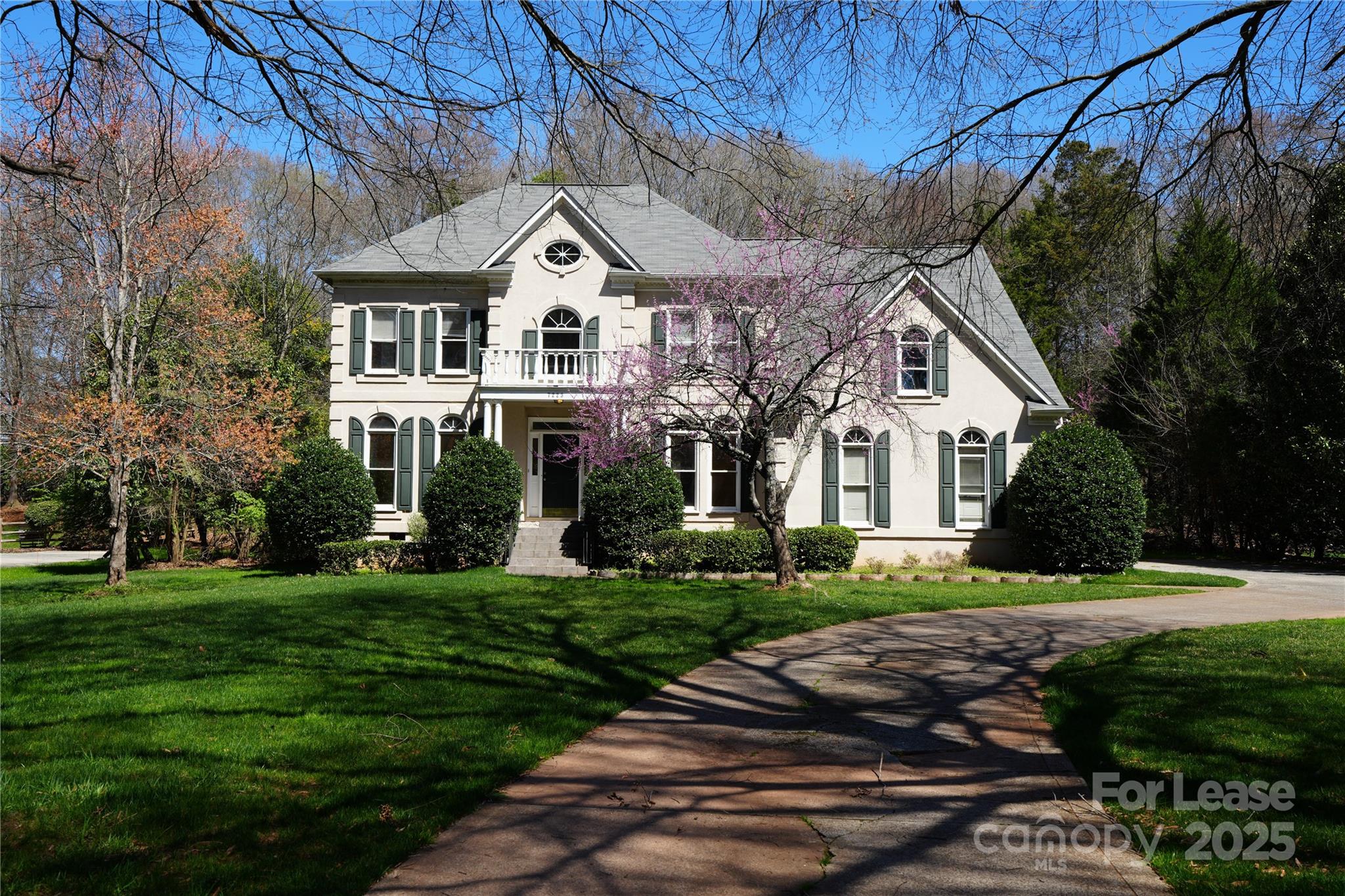 7223 Graybeard Court