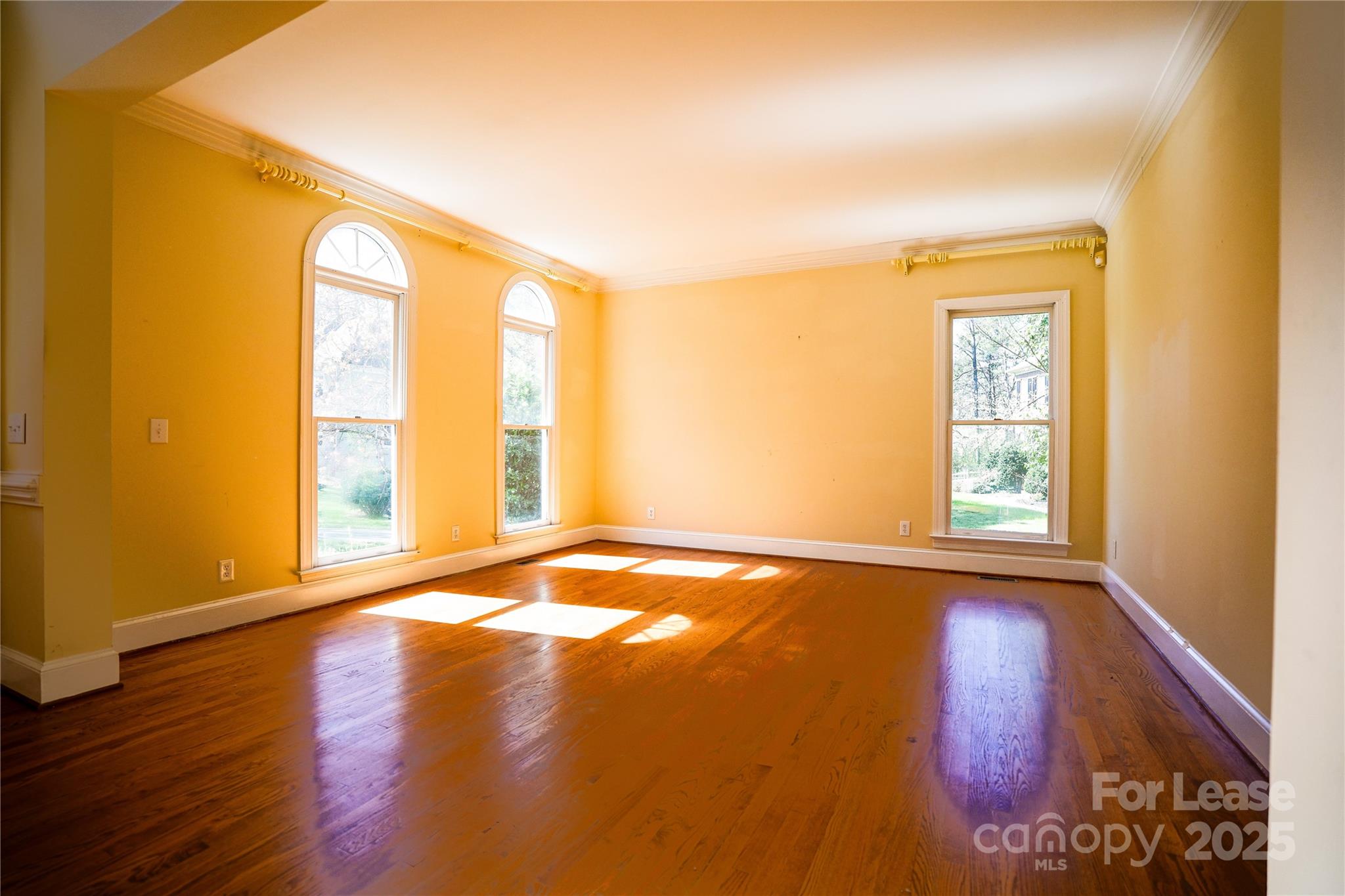 7223 Graybeard Court