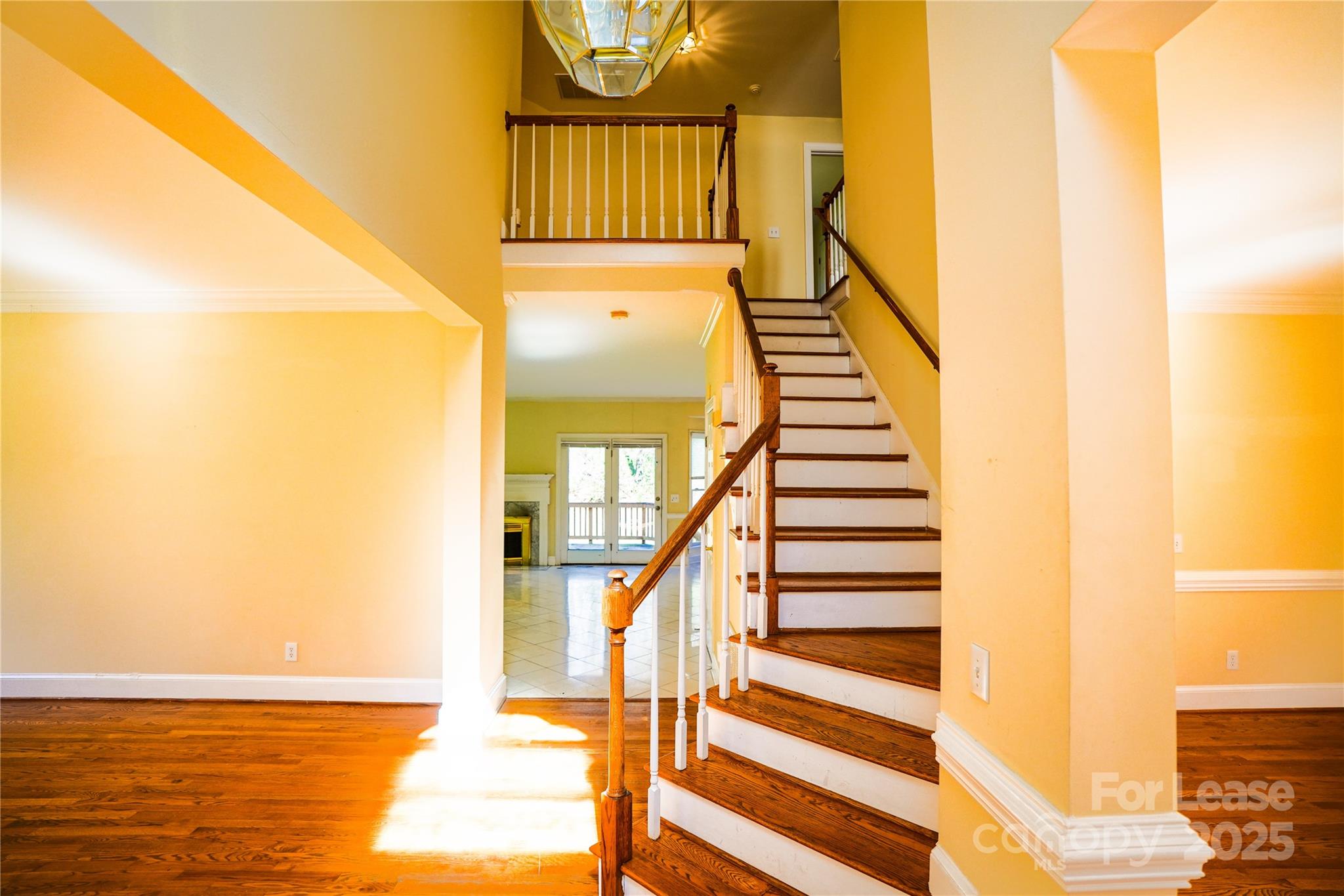 7223 Graybeard Court