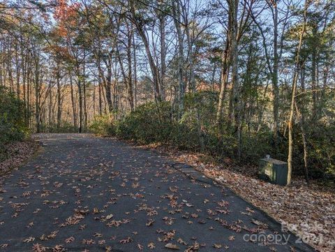 0 Willow Lane 59 & 60 Columbus NC 28722