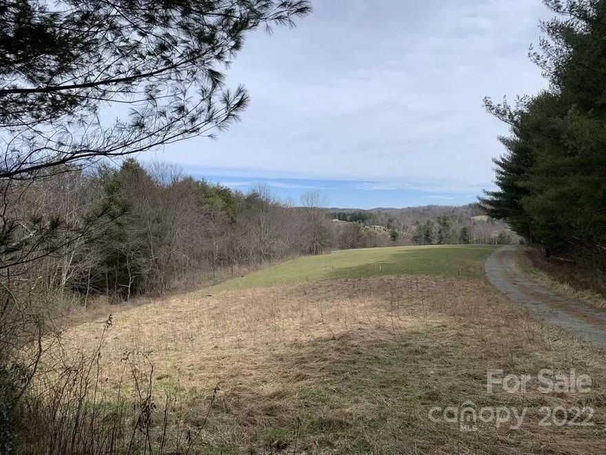 Lovely lot with a cleared spot in front to build and then drops off, two small creek crossings, Ideal for crawl space home or push back art drop off and build a basement home with large deck hanging over. Come build your dream home here, A tiny home, Manufactured or modular. Peaceful and tranquil. Fall mountain views, At the end of the Cul-de-sac in Crab Creek, there is a Fully stocked creek. this lot is the first lot on the left. small open arear and then drops off and then flat again at bottom If you are looking for the country living and affordability. Look no further! This will fit the bill