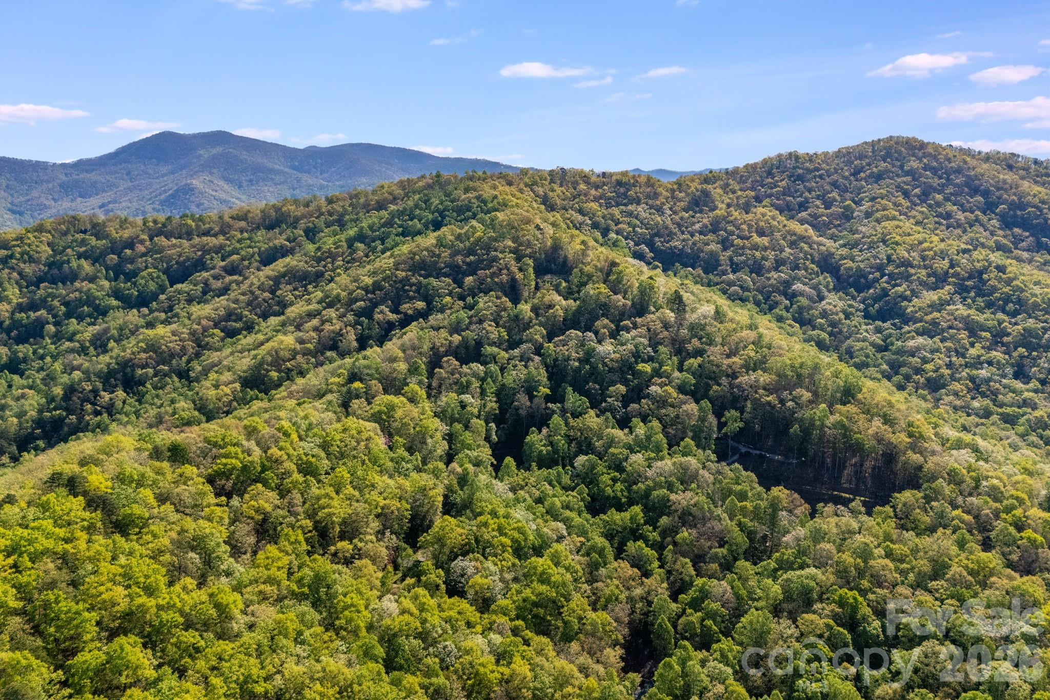 Serenity Mountain - Land