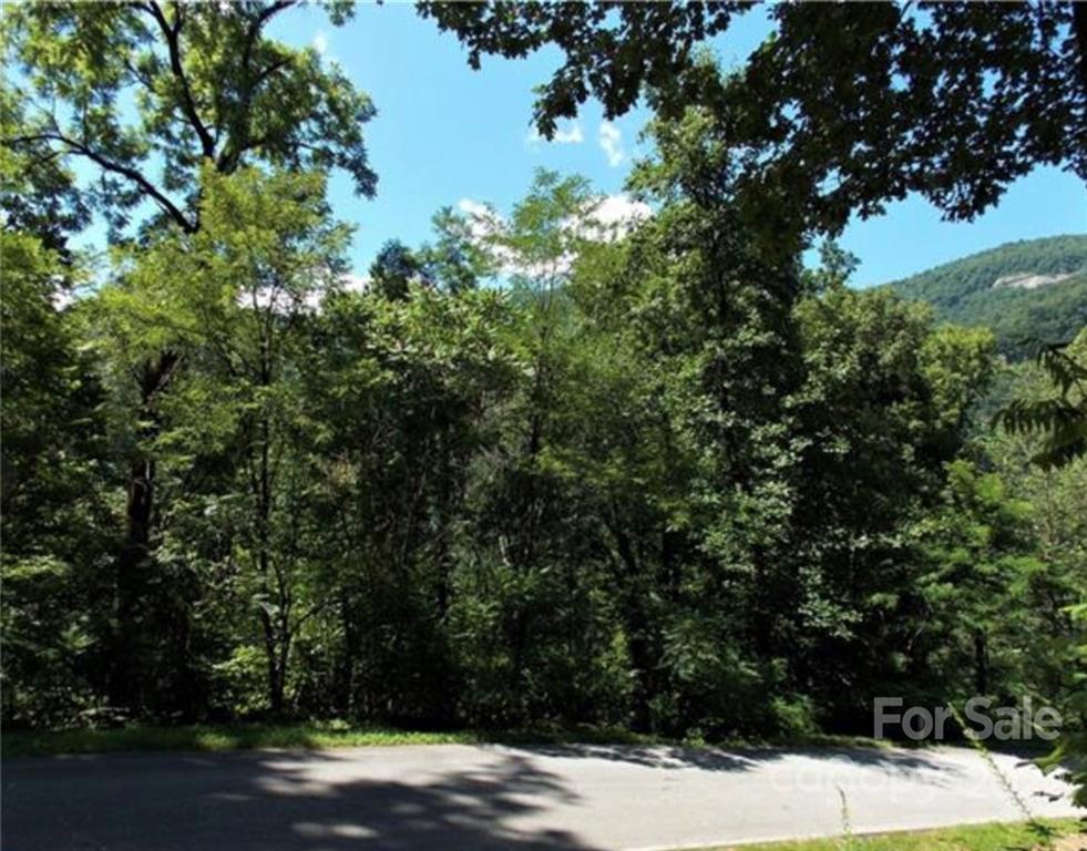 Cliffside of Hickory Nut Falls - Land