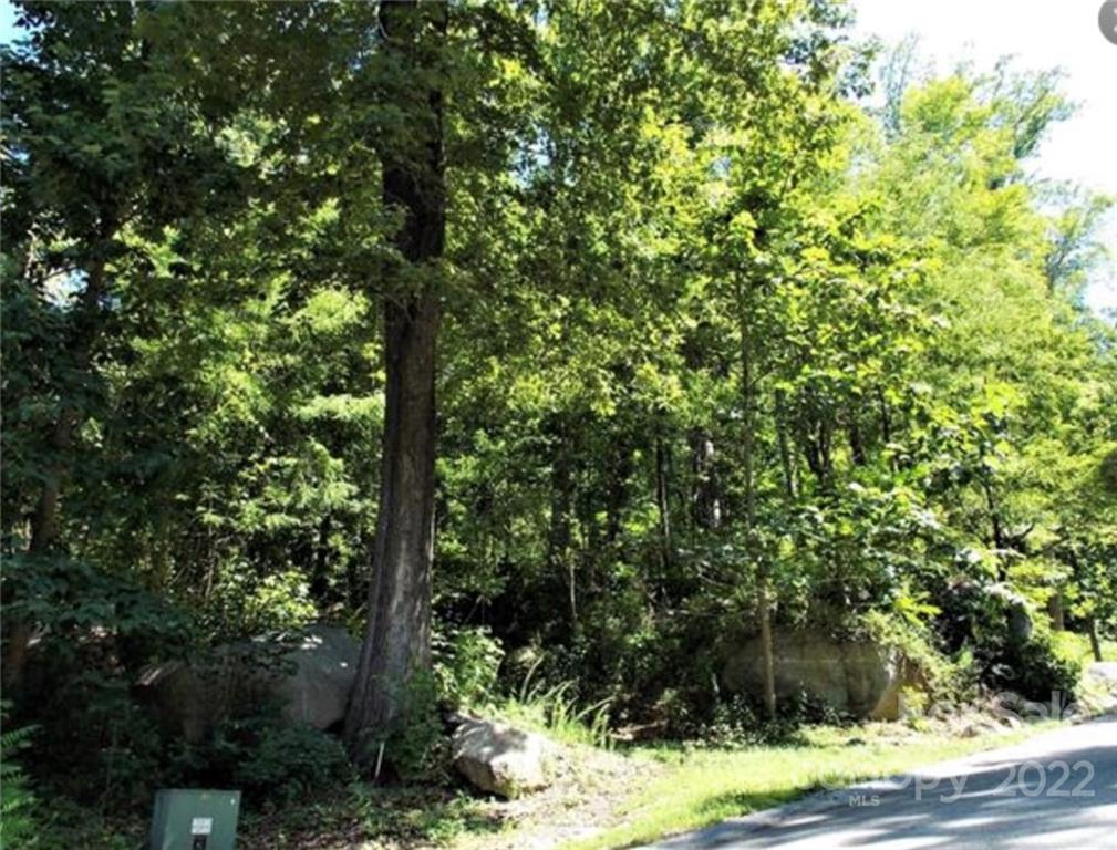 Cliffside of Hickory Nut Falls - Land