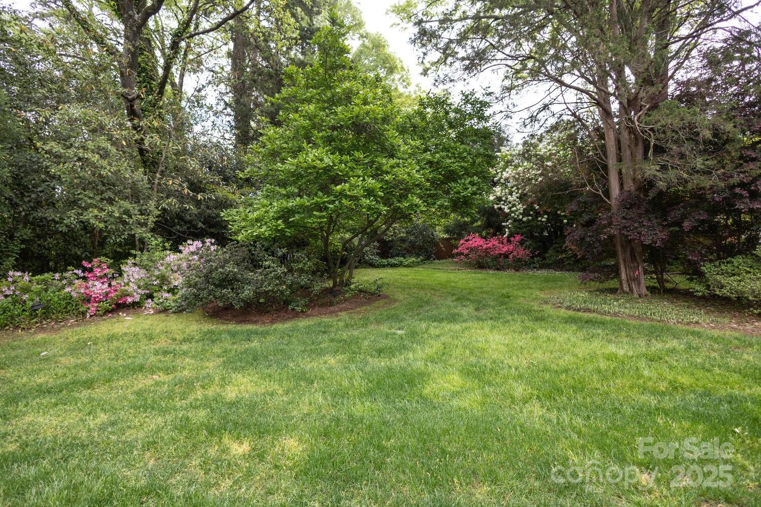 Myers Park - Residential