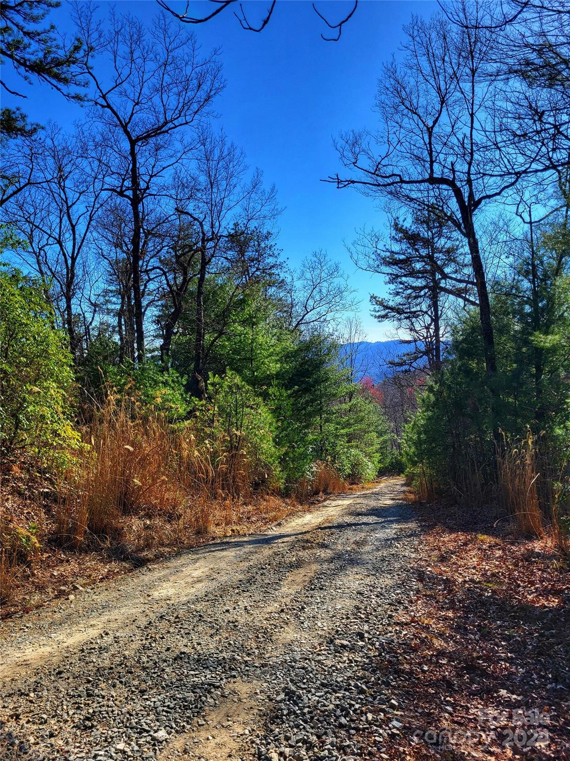 Lot D1 and D2 000 Dogwood Lane