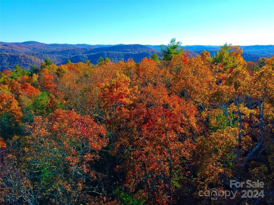 Don't miss this opportunity to build your WNC mountain dream! These are the last two available lots in Section D, with construction already beginning on recently purchased lots in this section!

Tranquil and scenic Carolina mountain top living is what you will find here! These two lots purchased together offer approx. 2 level, to gentle sloping acres in private Dogwood Mountain Estates. This is an excellent opportunity to build your forever, or vacation home! Underground electric is already installed. Approximately 3300 ft above sea level. Located just minutes from DuPont State Forest, and a short drive to Historic Hendersonville and Brevard. Seller makes no representations regarding, and it is the buyer's responsibility to determine, the property's relationship to the HOA. Please contact the HOA president, Marsha Aralious (704) 448-3532 for information. 
** Buyer accepts full responsibility for septic permit/soil (perc) test and any required preparation, process and fees**