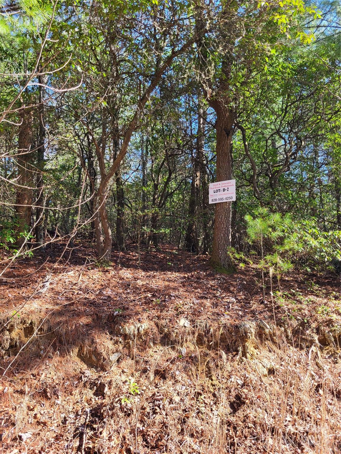 Lot D1 and D2 000 Dogwood Lane