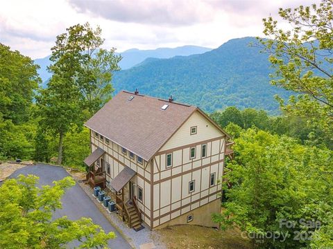 5 A Lila Lane Clyde NC 28721