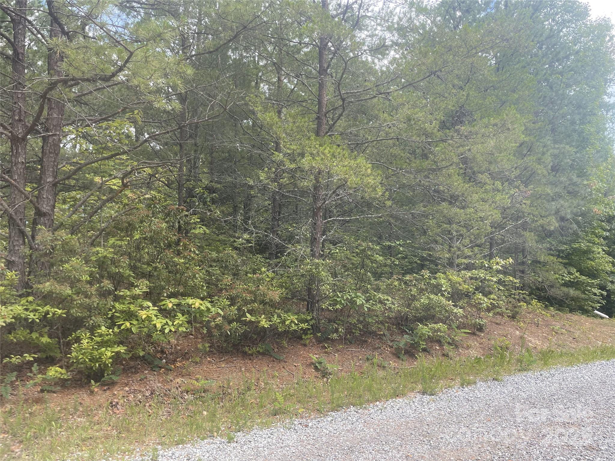 lot 38 Deer Crossing None