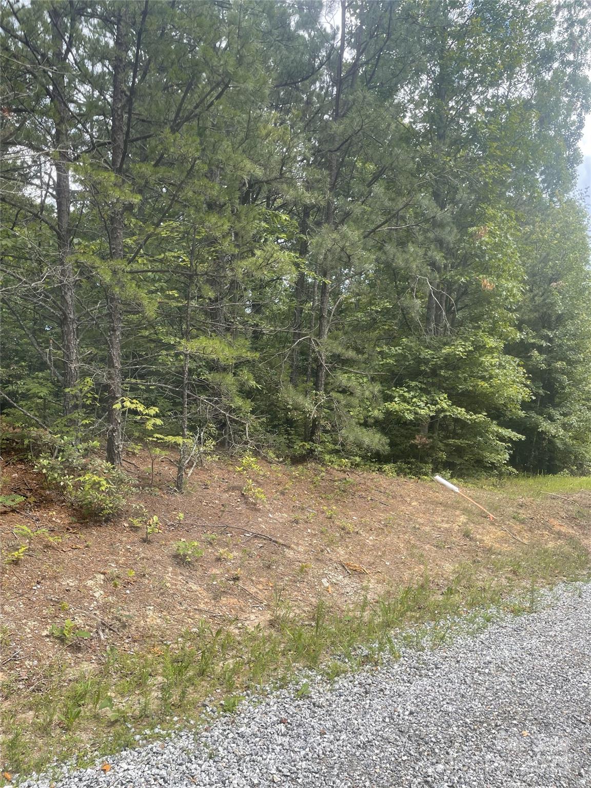lot 38 Deer Crossing None