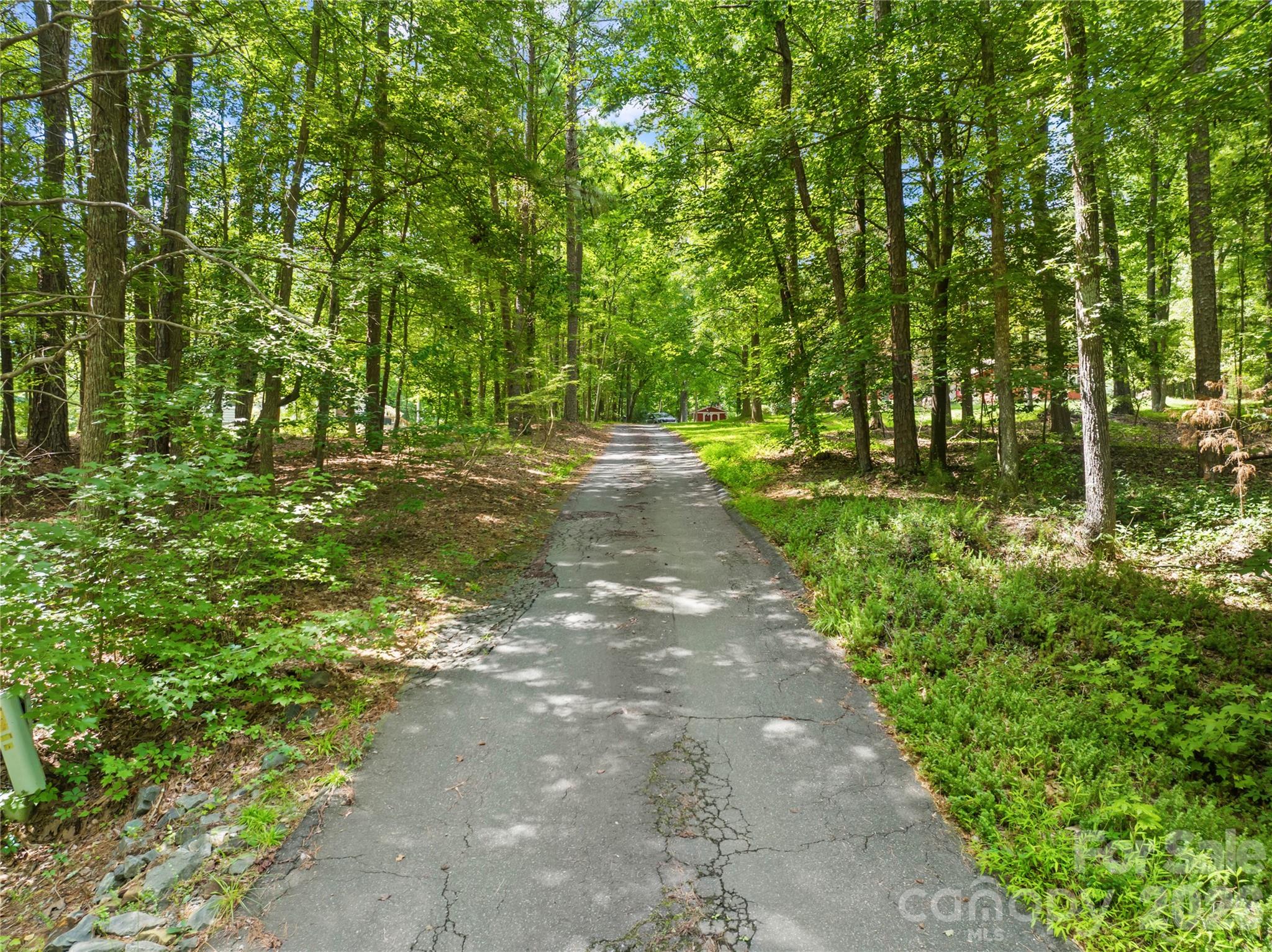 3406 Red Fox Trail