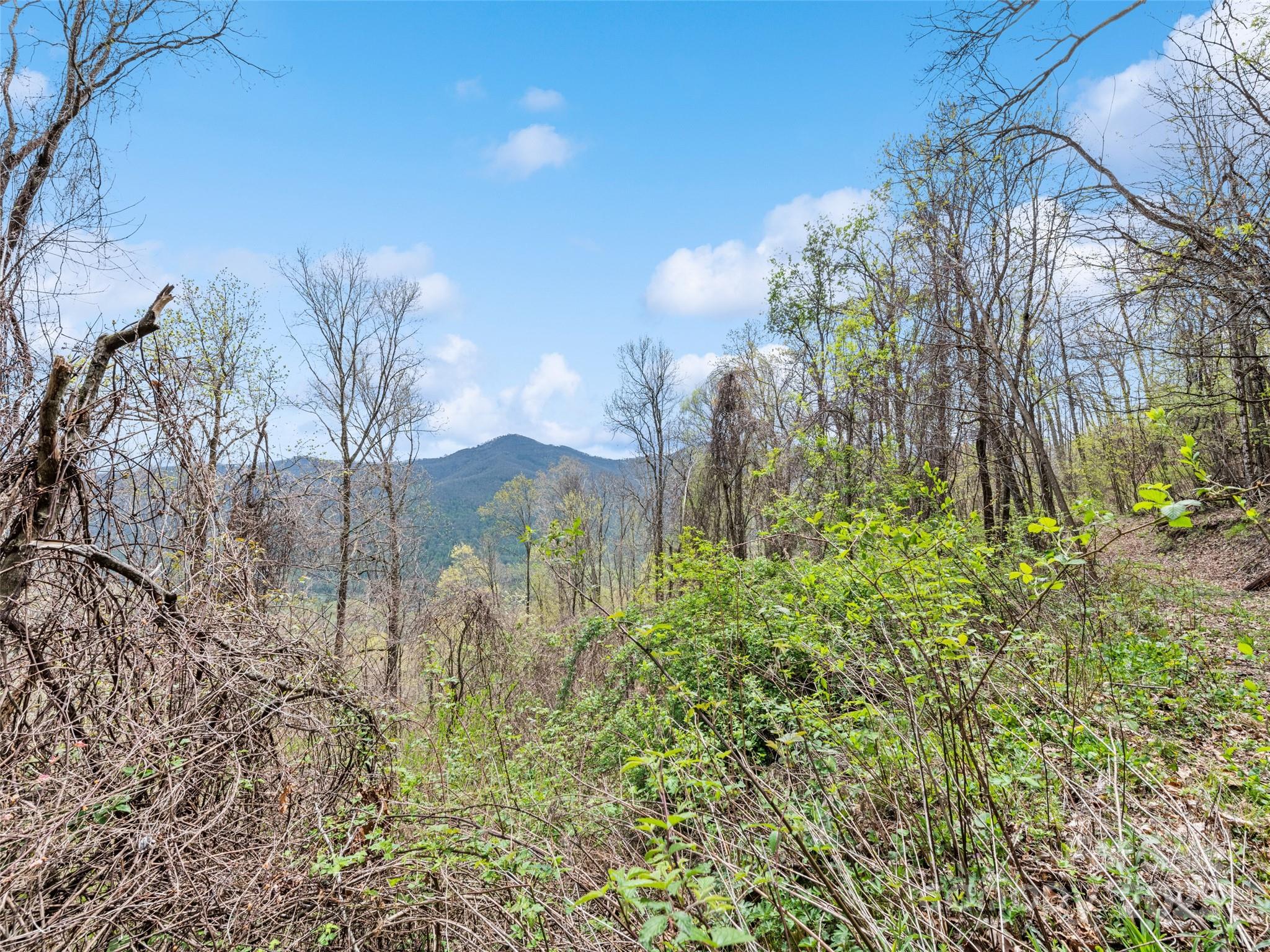 Maggie Valley Country Club Est - Land