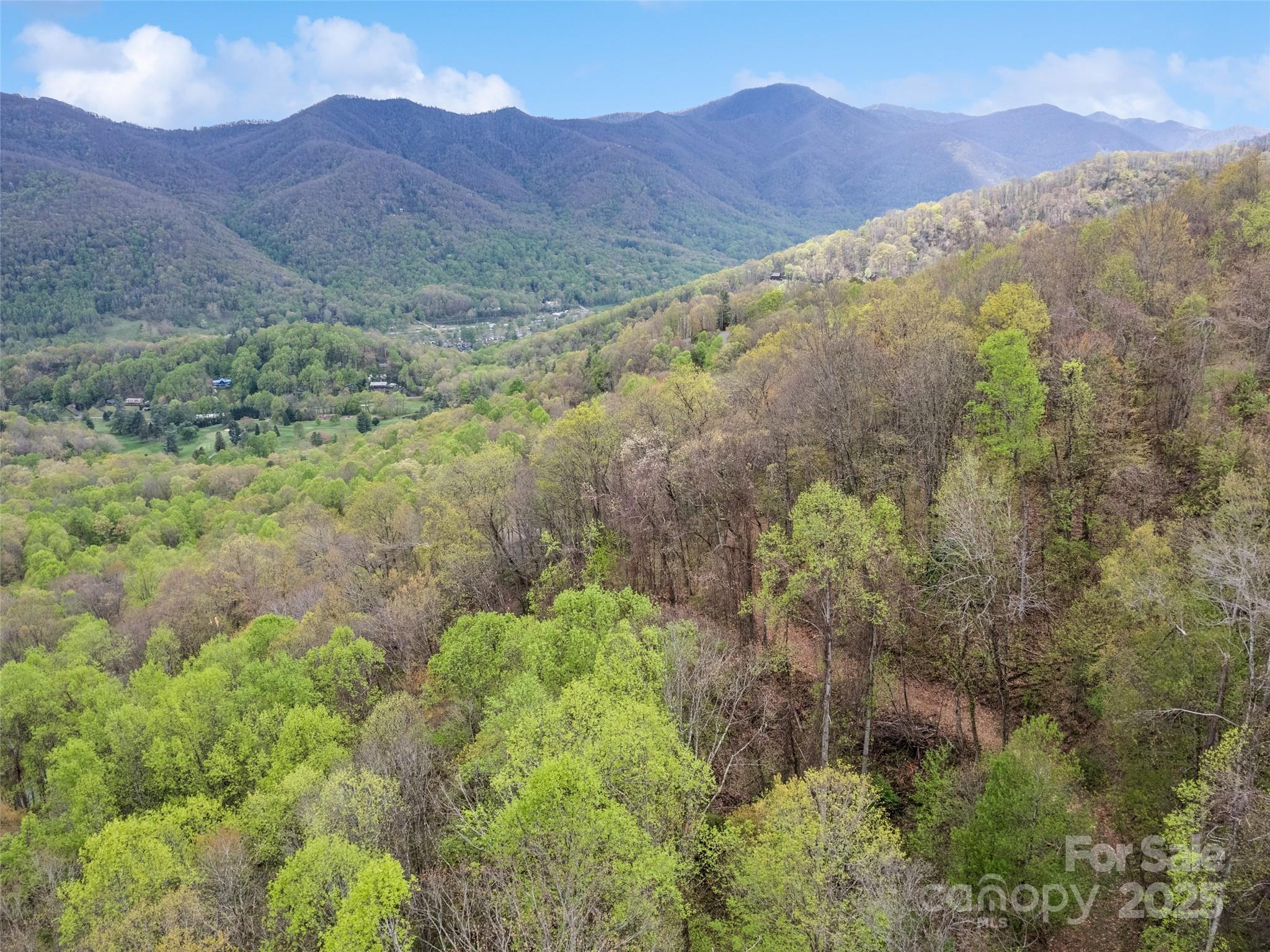 Maggie Valley Country Club Est - Land