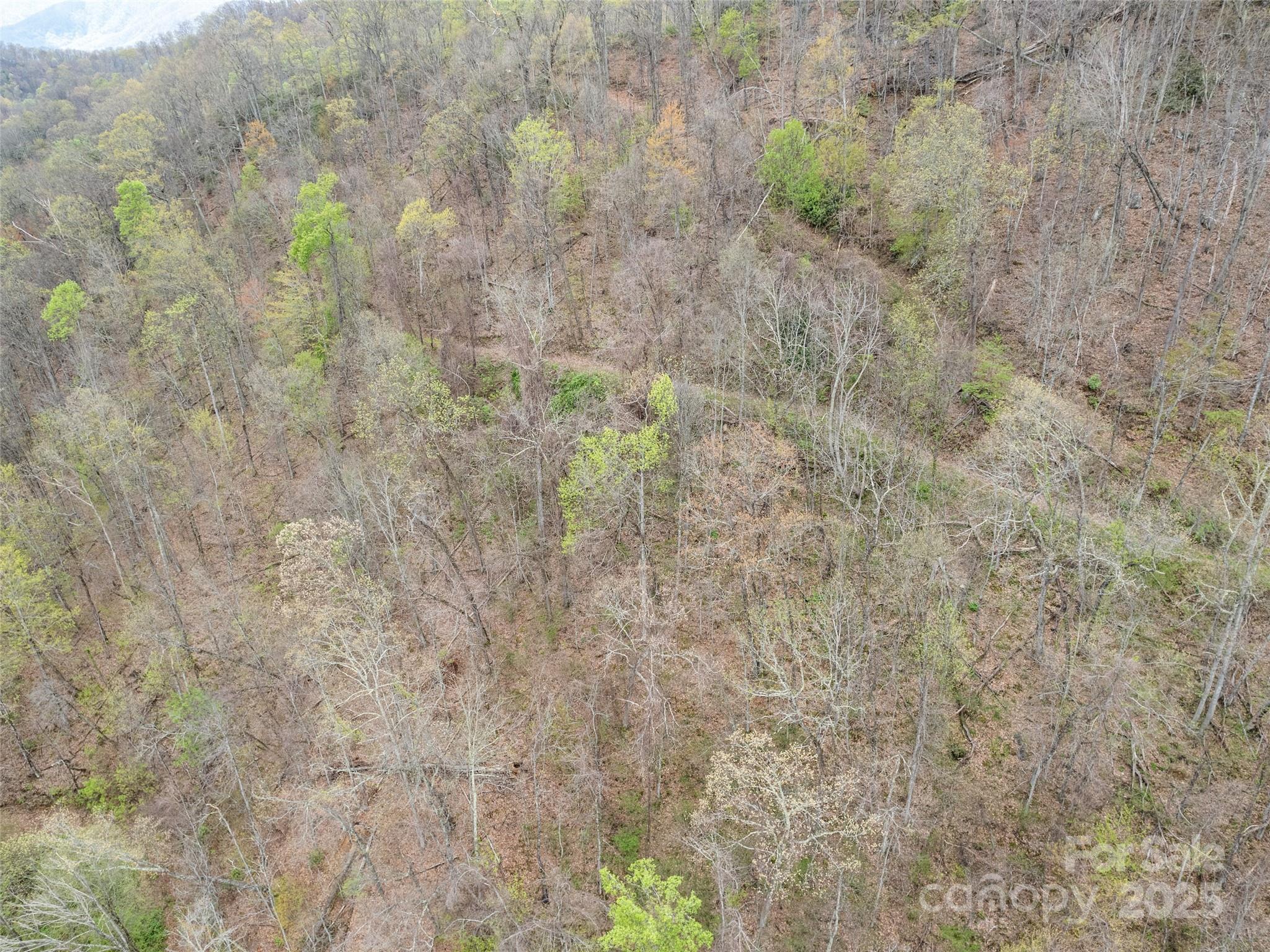 Maggie Valley Country Club Est - Land