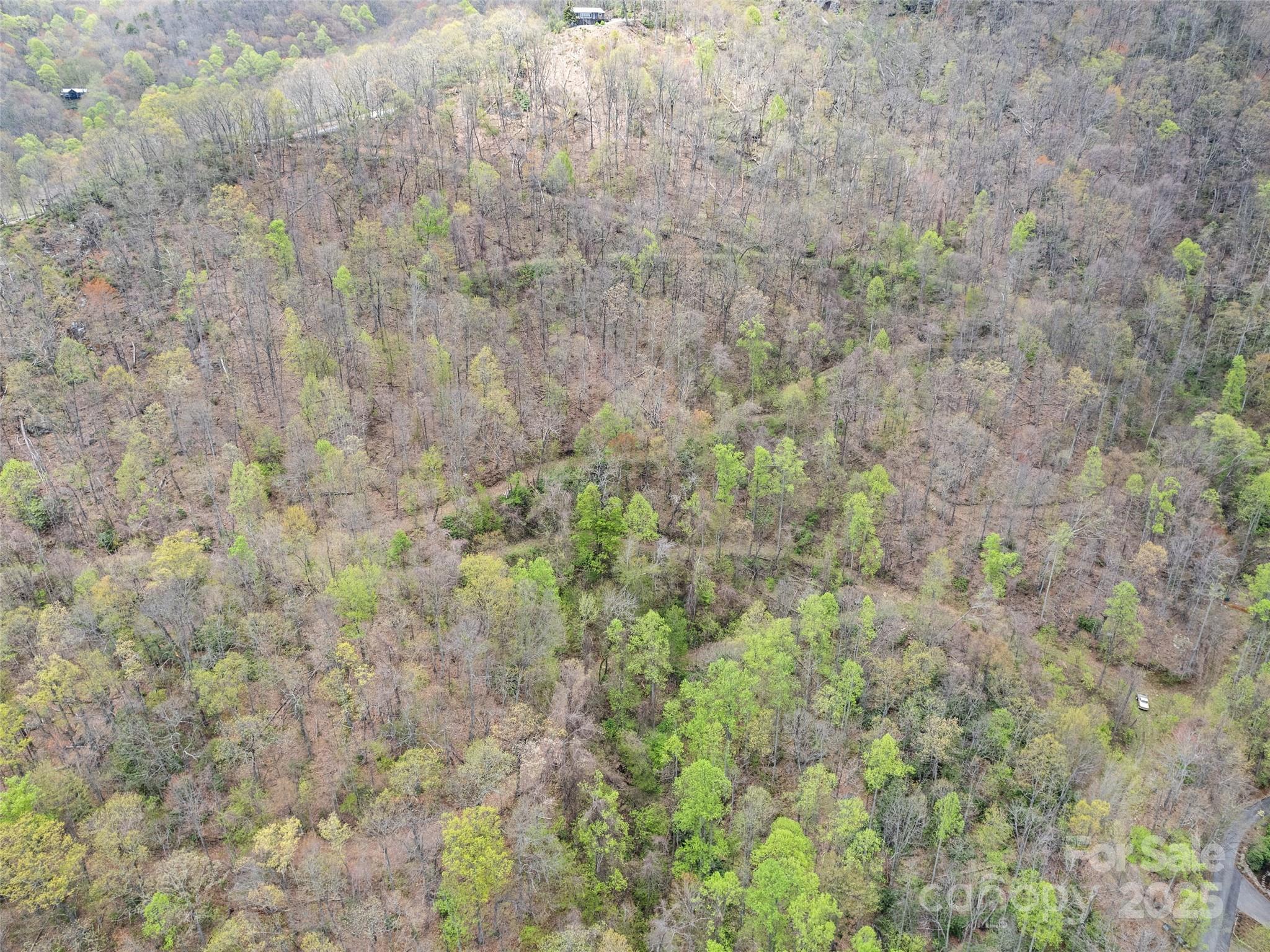 Maggie Valley Country Club Est - Land