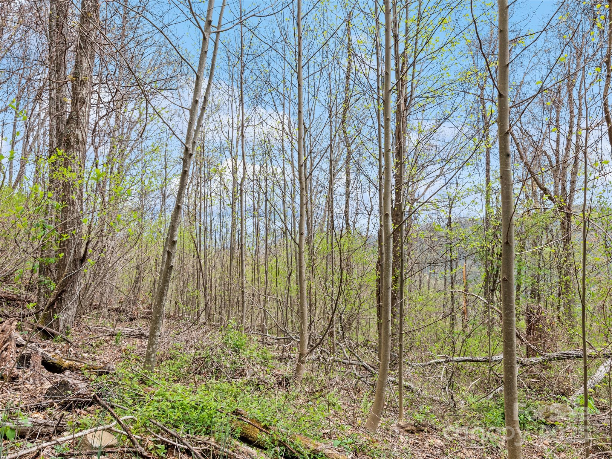 Maggie Valley Country Club Est - Land
