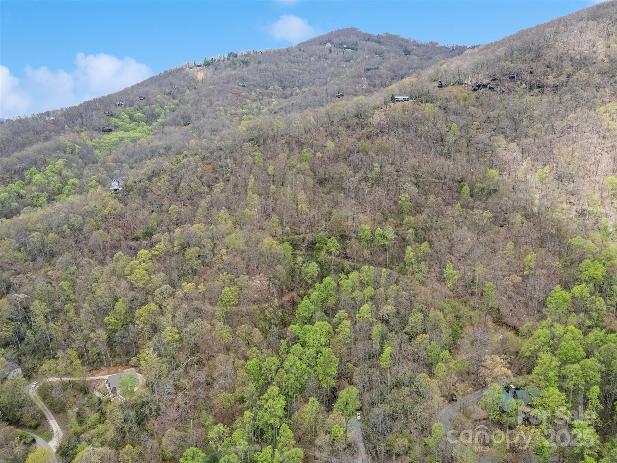 Maggie Valley Country Club Est - Land