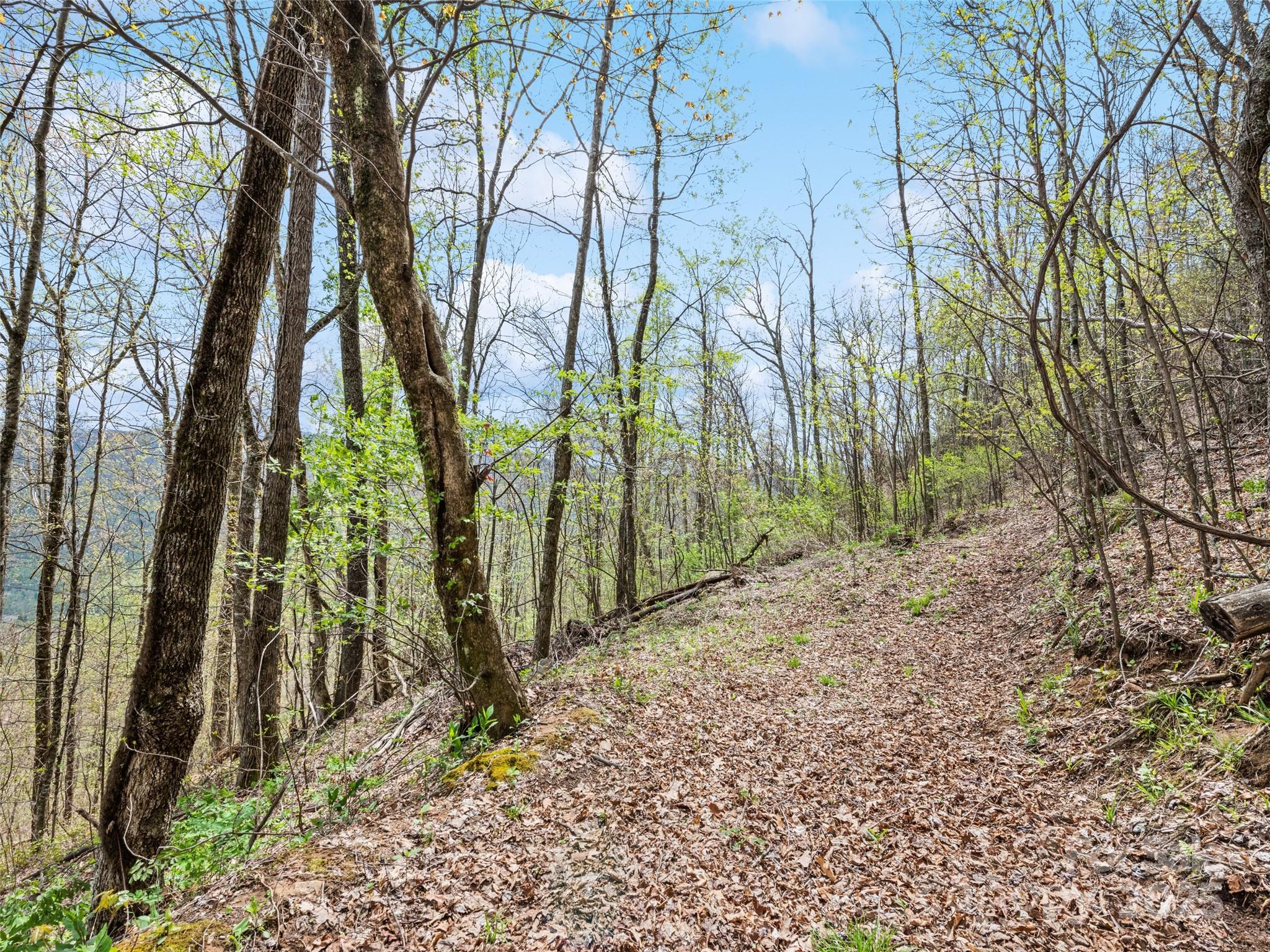 Maggie Valley Country Club Est - Land