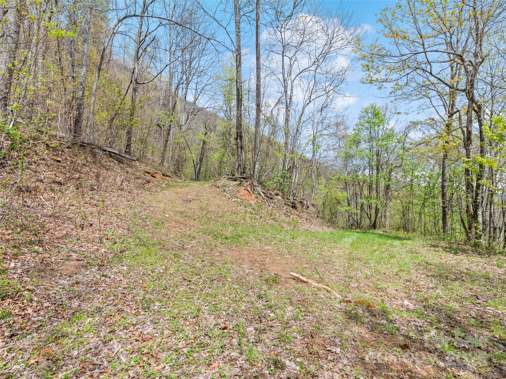 Maggie Valley Country Club Est - Land