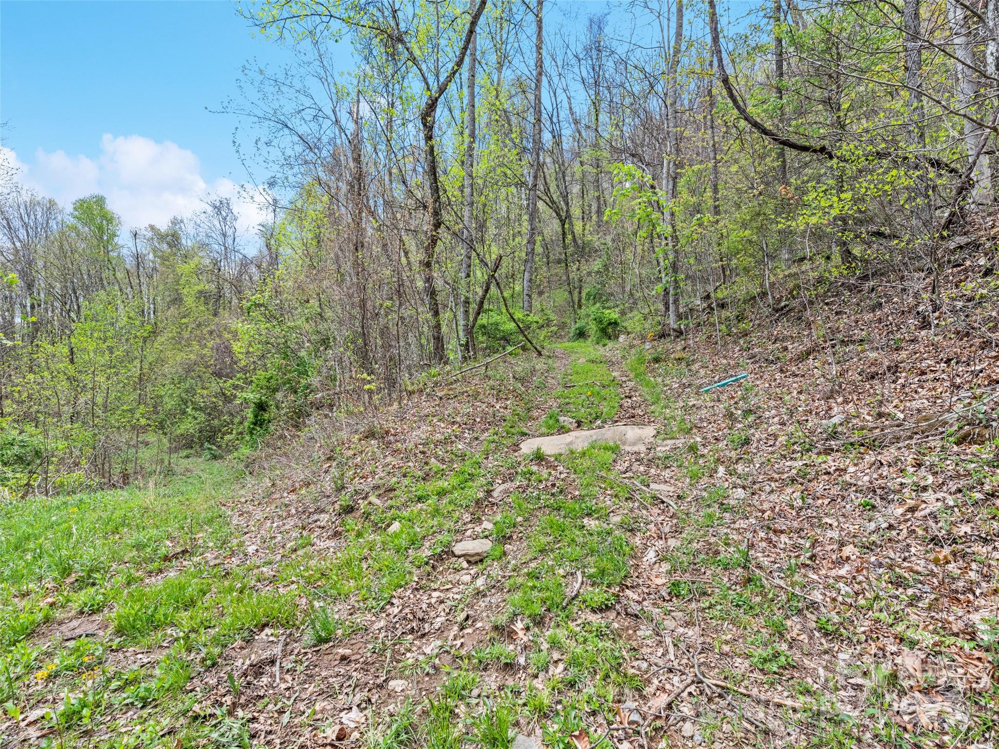 Maggie Valley Country Club Est - Land