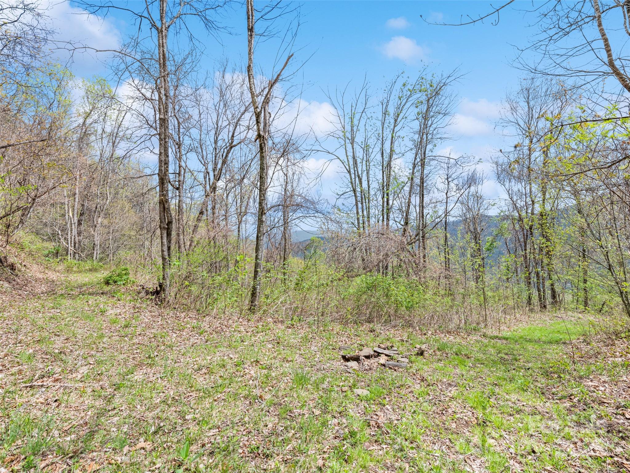 Maggie Valley Country Club Est - Land