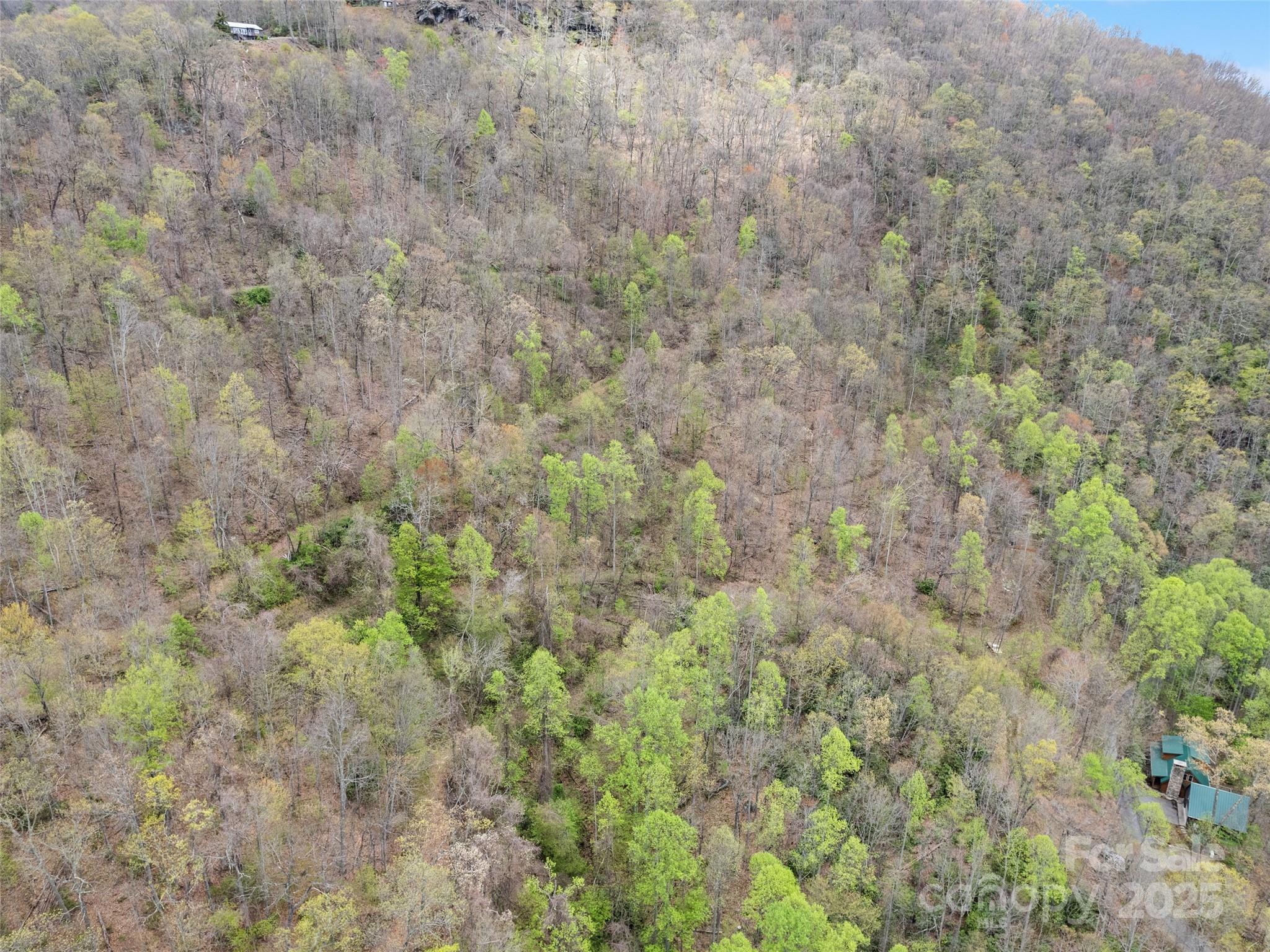 Maggie Valley Country Club Est - Land