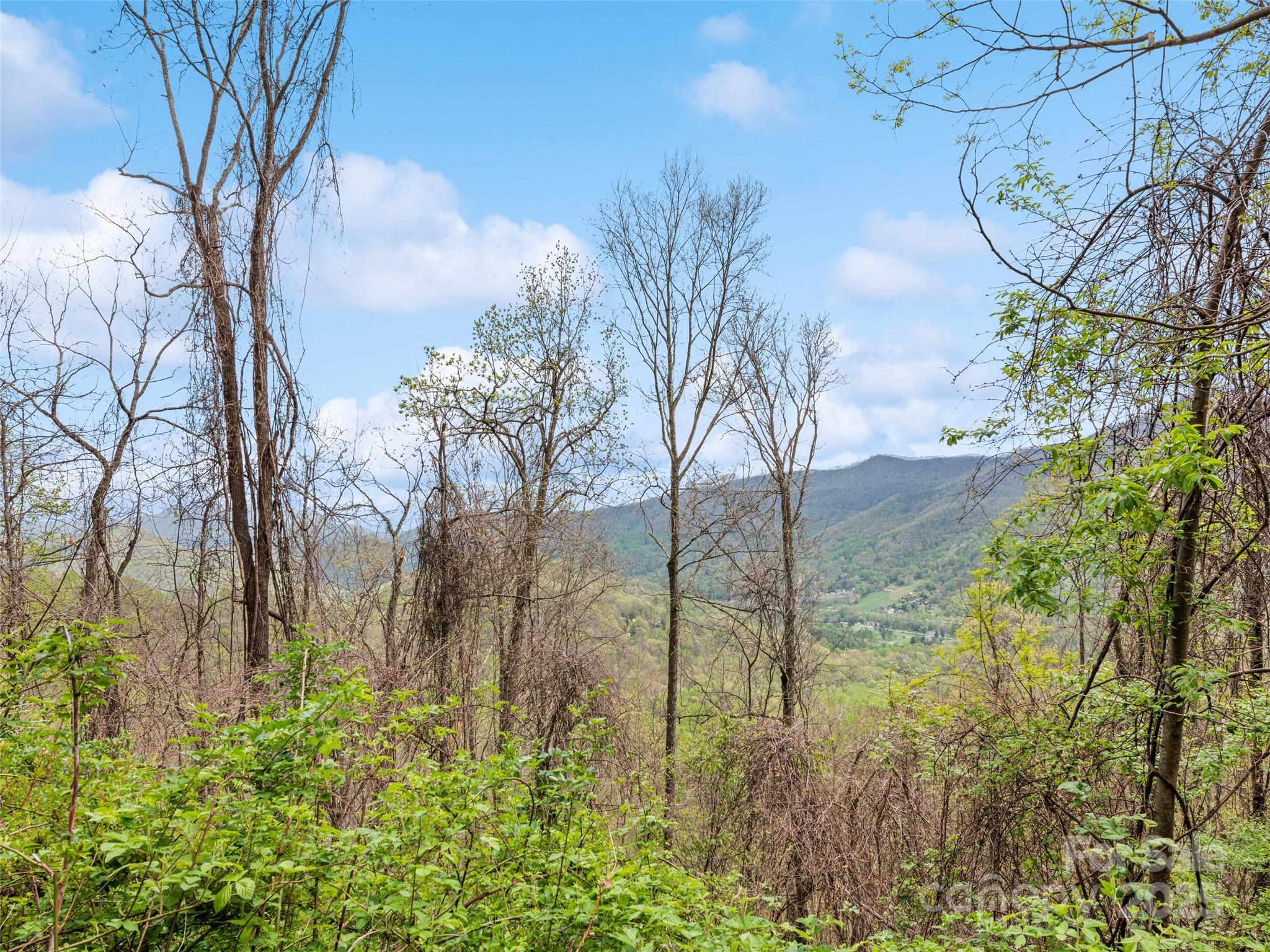 Maggie Valley Country Club Est - Land